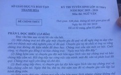 Đáp án đề thi tuyển sinh lớp 10 môn Ngữ Văn năm 2019 ở Thanh Hóa