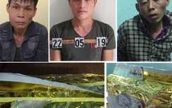 Bắt kẻ cầm đầu đường dây buôn bán lượng lớn ma túy ở Thanh Hóa