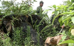 Tìm thấy thi thể bà cụ 80 tuổi sau 4 ngày đi lạc trong rừng ở Lào Cai