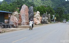 Chùm ảnh: Chiếm lề đường Hồ Chí Minh làm nơi trưng bày đá cảnh