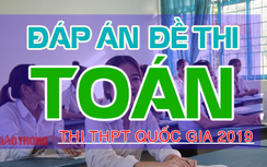 Đáp án đề thi THPT quốc gia 2019 môn Toán Full tất cả mã đề