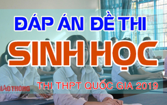 Đáp án đề thi môn Sinh học THPT quốc gia 2019 Full mã đề