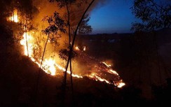 4 vụ cháy rừng lan rộng ở Thừa Thiên - Huế, di dời khẩn cấp 20 hộ dân