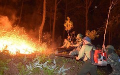 Cháy rừng thông kinh hoàng ở Hà Tĩnh: Tạm giữ 1 nghi phạm