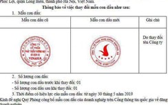 Thị trường hàng không có thêm Vinpearl Air vốn điều lệ 1.300 tỷ đồng