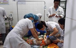 Bé gái 22 tháng tuổi ở Nghệ An bị chó sổng chuồng cắn tử vong