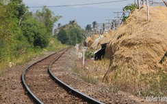 Xuất hiện dãy cột rơm khô trong hành lang bảo vệ đường sắt ở Phú Yên