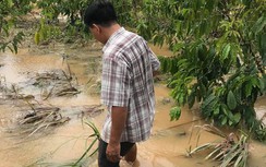 Lâm Đồng: Thủy điện vận hành gây thiệt hại, vì sao dân chưa được đền bù?