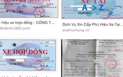 TP.HCM yêu cầu rà soát kê khai thuế cá nhân kinh doanh xe vận tải