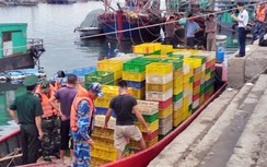 Video: Cảnh sát biển VN bắt giữ tàu chở hơn 3 vạn con vịt nghi nhập lậu