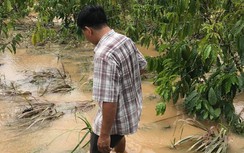 Thủy điện Đạ Dâng vận hành gây thiệt hại: Đã đền bù 189/234 hộ dân