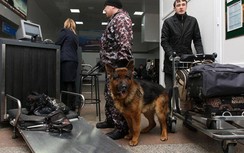 Nga thông báo sẽ thắt chặt quy định về hành lý quá cảnh