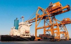 Cảng Hải Phòng tăng mạnh doanh thu và sản lượng hàng thông qua