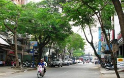 TP HCM cấm ô tô lưu thông theo giờ trên đường Nguyễn Văn Giai, quận 1