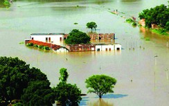 Gần 130 người chết vì lũ lụt ở miền Đông Ấn Độ