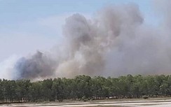 Huy động hàng trăm người khống chế vụ cháy rừng gần nhà máy sắn