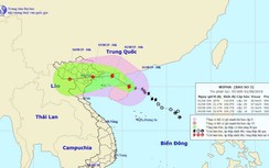 Bão số 3 tiếp tục mạnh hơn, vùng nào chịu ảnh hưởng nhiều nhất?