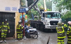 Hà Nội: Cây đổ la liệt, nhiều tuyến đường giao thông tê liệt do bão số 3