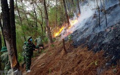 2 thanh niên đốt lửa trại, suýt gây cháy rừng đặc dụng bị phạt 3 triệu đồng