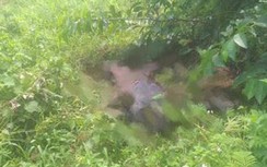 Tìm thấy thi thể người đàn ông mất tích ở Quảng Ninh