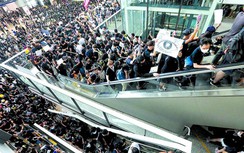 Biểu tình Hong Kong đẩy Cathay Pacific lún sâu khủng hoảng