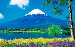 Nhật Bản thử nghiệm sơ tán khách nước ngoài gần núi Phú Sĩ