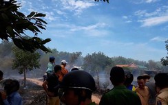 "Hợp sức" khống chế cháy rừng tràm uy hiếp khu dân cư ở Quảng Trị