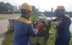 Hà Nội: Cá chết hàng loạt, bốc mùi hôi thối tại Công viên Yên Sở