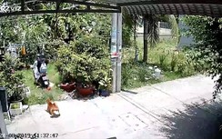 Video: Hai cô gái la hét, lao thẳng xe máy vào bụi cây vì bị chó đuổi