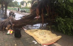 Video: Kinh hoàng cảnh tượng cây đổ đè chết người tại Hà Nội