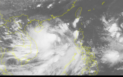 Tin bão tối 29/8: Sóng giật cấp 11, cảnh báo sạt lở từ Trung đến Nam bộ