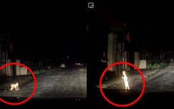 Video: Hoảng hồn cảnh trẻ nhỏ bò giữa đường trong đêm khuya