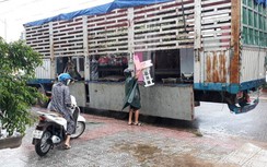 Nước sông dâng cao, Quảng Trị sơ tán gần 100 hộ dân "điểm nóng" ngập lụt