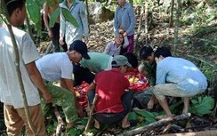 Một người tử vong vì sạt lở đất khi bóc quế ở Yên Bái