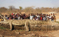 Điểm mặt 5 con cá sấu có kích thước, tuổi thọ “khủng” nhất thế giới