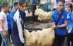 Đoàn viên, thanh niên Hà Tĩnh bán bưởi đặc sản giúp dân vùng lũ