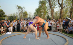 Hai võ sĩ Sumo nổi tiếng Nhật Bản bất ngờ xuất hiện tại Việt Nam