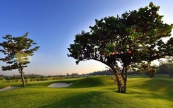 Phần thưởng cực "độc" tại giải golf hơn 1 nghìn người tham dự