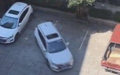 Video: Xem cảnh tài xế bất lực khi lùi xe vào chuồng