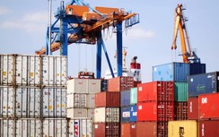 Giải phóng thêm gần 900 container phế liệu vô chủ "chây ì" tại cảng biển