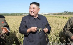 Ông Kim Jong Un tái xuất hiện, nhân viên dưới quyền không dám cười to