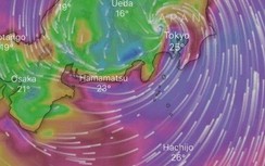Trực tiếp diễn biến bão Hagibis đổ bộ Nhật Bản