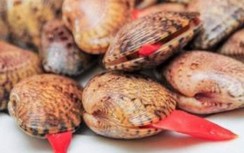 Người đăng tin “tử vong do ăn sò lụa đỏ” bị đề nghị xử lý