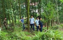 Phát hiện thi thể Phó chủ tịch xã ở Bắc Giang trong rừng