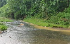 Ô nhiễm dầu nhớt trong nguồn nước là loại ô nhiễm tồi tệ nhất