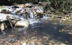 Thủ tướng chỉ đạo Bộ Công an điều tra vụ nguồn nước sạch sông Đà ô nhiễm