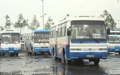 Cần Thơ mời gọi đầu tư khai thác 5 tuyến xe buýt không trợ giá