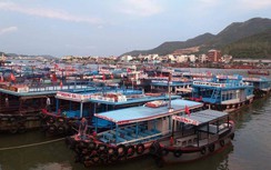 Khánh Hòa: Học sinh nghỉ học, hàng trăm tàu thuyền vào trú bão số 5