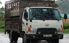 CSGT Đà Nẵng "bóc trần" thủ đoạn xe tải né trạm kiểm dịch động vật