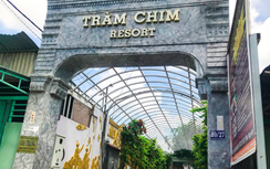 Bị cưỡng chế, chủ Resort Gia Trang - Tràm Chim kêu cứu lãnh đạo TP.HCM